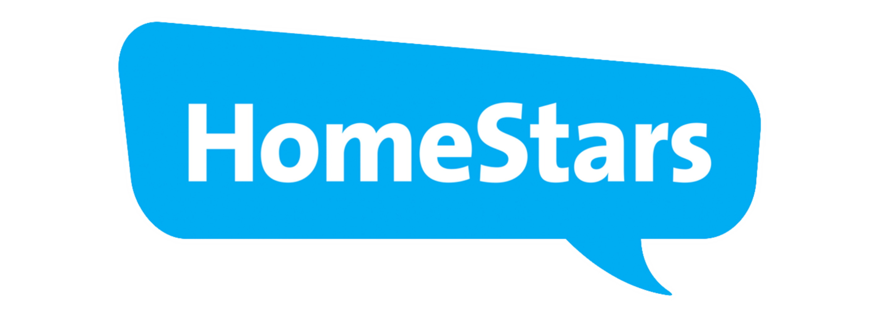 The Blue Homestars Logo